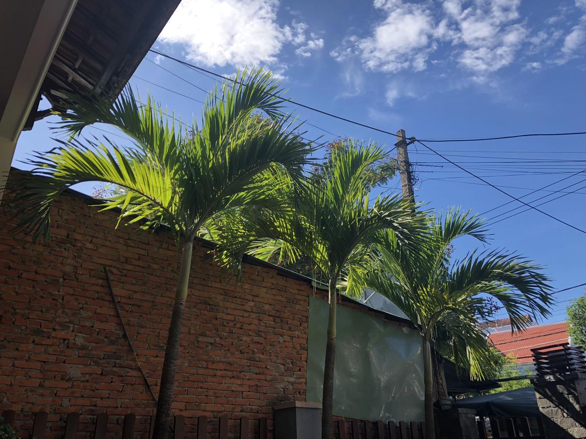 Three Palms Homestay Хой Ан Екстериор снимка